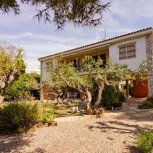 https://apartment-mas-baixauli.catalonia-hotels.com